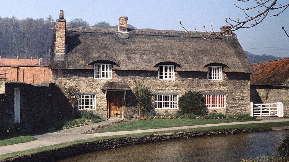 Dale Ward