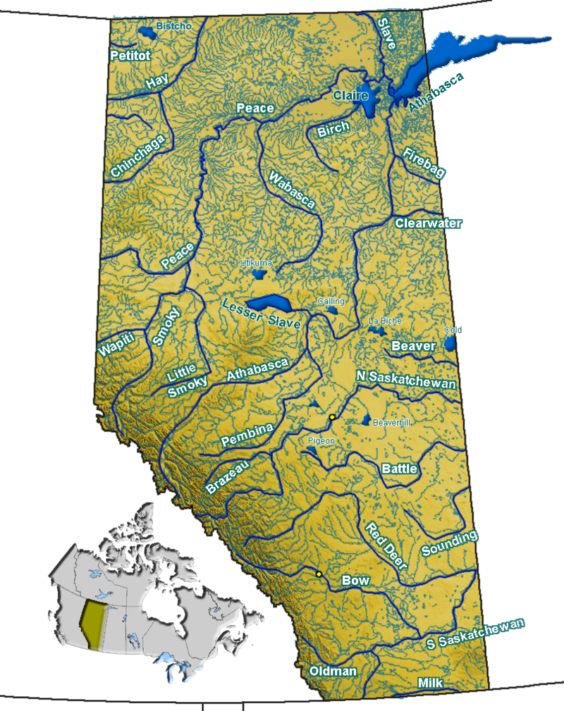 Moose And The Pelicans