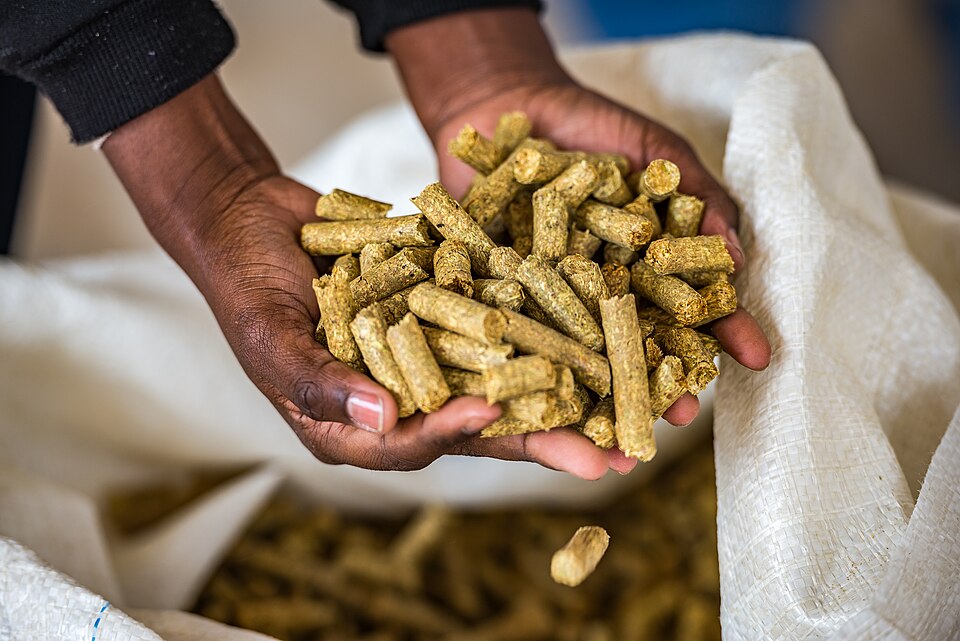 Please Feed The Animals