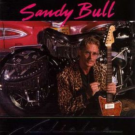 Sandy Bull
