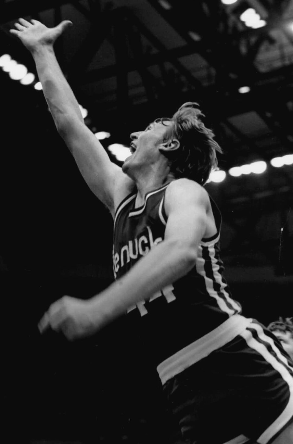 The Kentucky Colonels