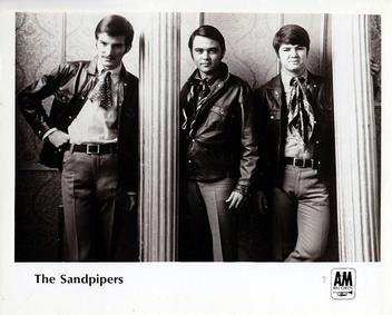 The Sandpipers