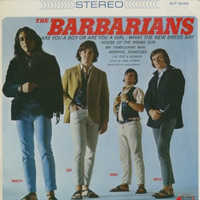 Are You A Boy Or Are You A Girl? (1966)