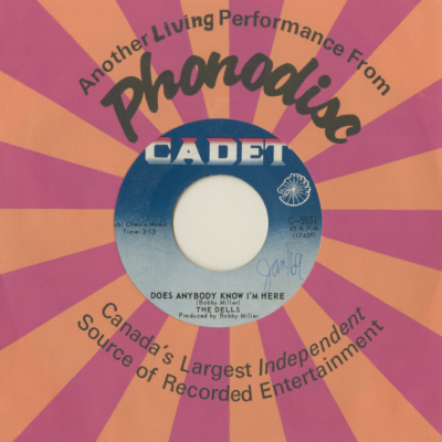 Make Sure You Have Someone To Love You / Does Anyone Know I'm Here