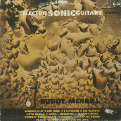 Electro Sonic Guitars