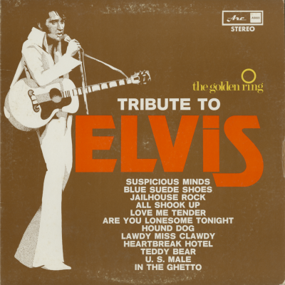 Tribute To Elvis