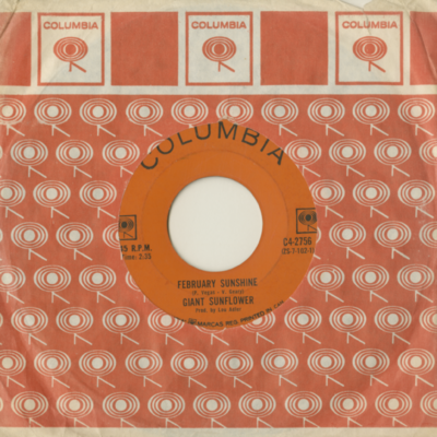 February Sunshine / Big Apple