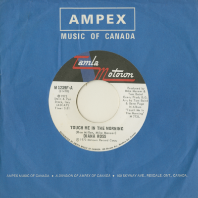 Touch Me In The Morning / I Won't Last A Day Without You (1973)