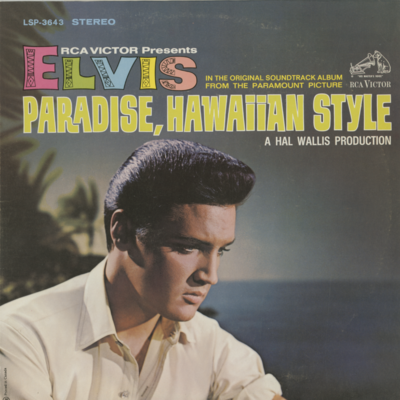 Paradise Hawaiian Style