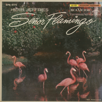 Senor Flamingo