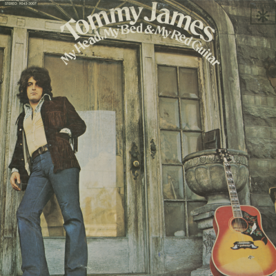 My Head My Bed And My Red Guitar