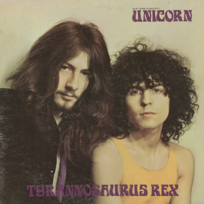 Tyrannosaurus Rex Unicorn