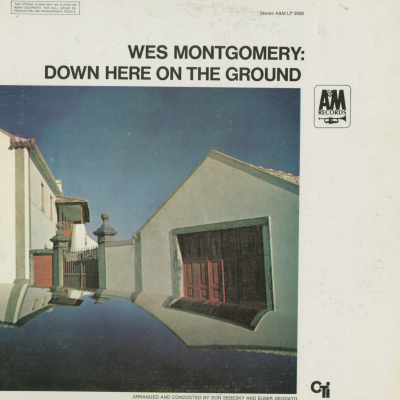 Down Here On The Ground