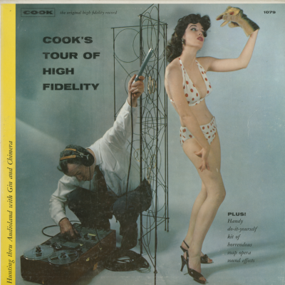 Cook's Tour Of High Fidelity