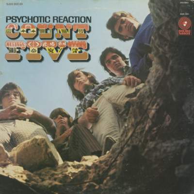 Psychotic Reaction (1966)
