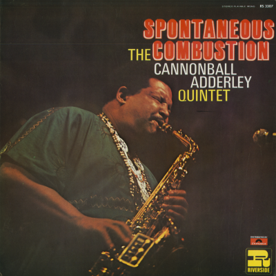 The Spontaneous Combustion