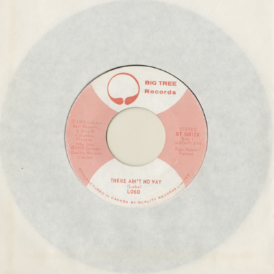 There Ain't No Way / Love Me For What I Am (1973)