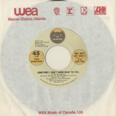 Sometimes I Don't Know What To Feel / Does Anybody Love You ? (1973)