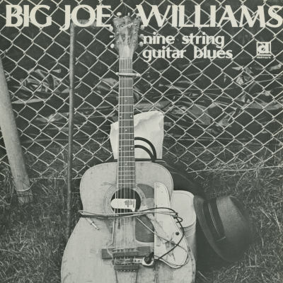 Nine String Guitar Blues