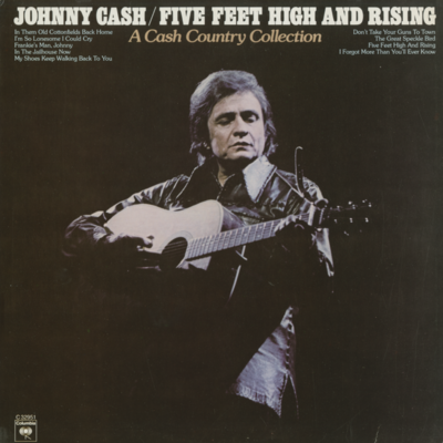 Five Feet High And Rising