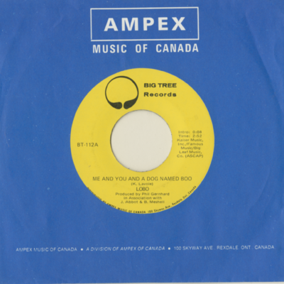 Me And You And A Dog Named Boo / Walk Away From It All