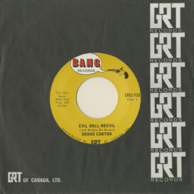 Evil Boll Weevil / Got To Find My Way Back (1974)