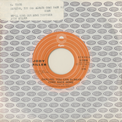 Darling You Can Always Come Back Home / We'll Sing Our Song Together