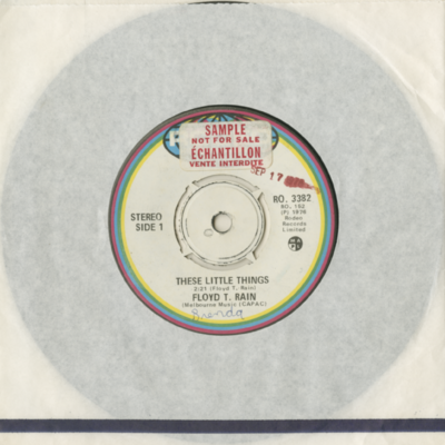 These Little Things / Grand Ole Opry Star (1976)