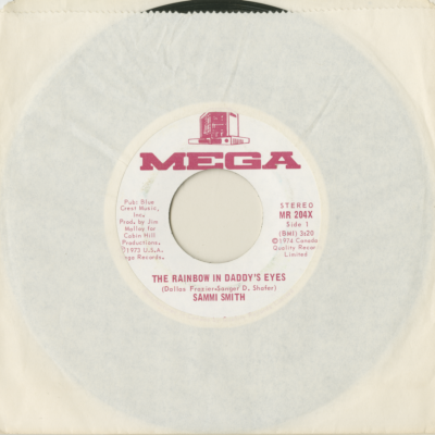 The Rainbow In Daddy's Eyes / Birmingham Mistake (1974)