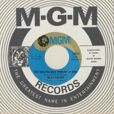 She Goes Walking Through My Mind / It's Your Fault I'm Cheating