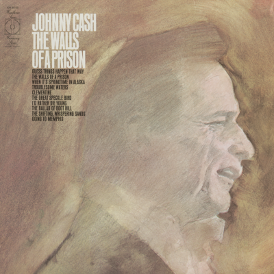 The Walls Of A Prison