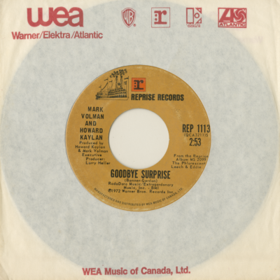 Goodbye Surprise / Nikki Hoi (1972)