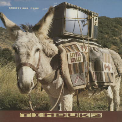 Greetings From Timbuk 3 (1986)