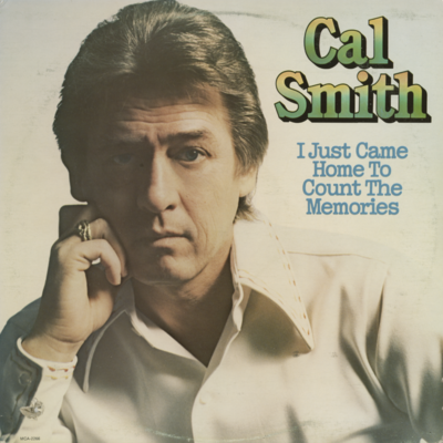 I Just Came Home To Count The Memories