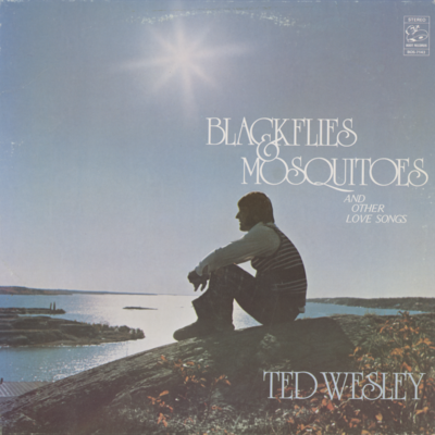 Blackflies And Mosquitoes