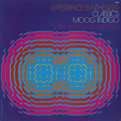 Experience Synthesizer (1973)