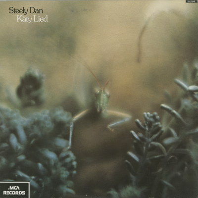 Katy Lied