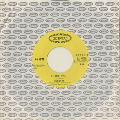 I Like You / Earth Sign Man