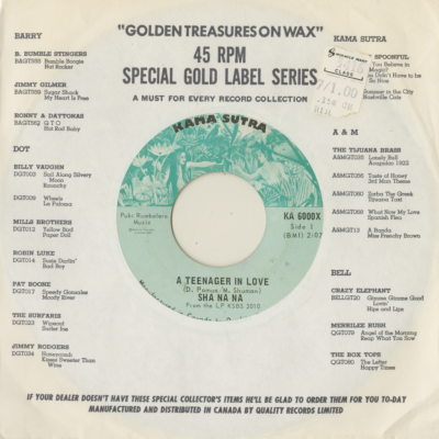 A Teenager In Love / Remember Then