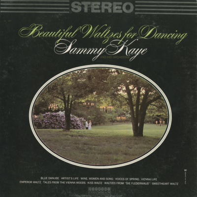 Beautiful Waltzes For Dancing