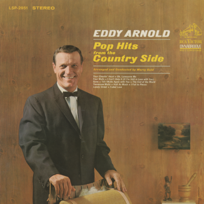 Pop Hits From The Country Side