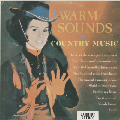 The Warm Sounds Of Country Music