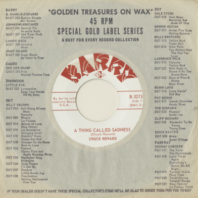 A Thing Called Sadness / Don't Let Them Move (1964)