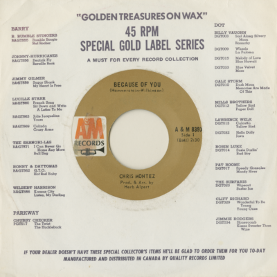 Because Of You / Elena