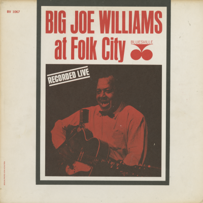 Big Joe Williams At Folk City