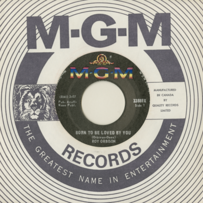 Born To Be Loved By You / Shy Away