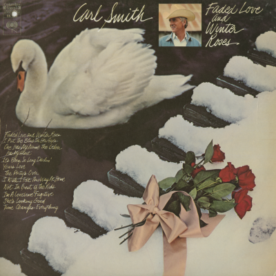 Faded Love And Winter Roses