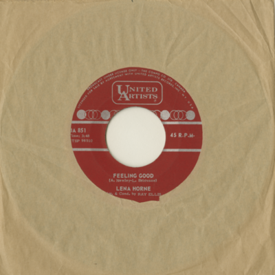 Feeling Good / Pleasures And Palaces