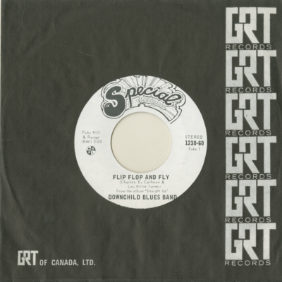 Flip Flop And Fly / Shot Gun Blues