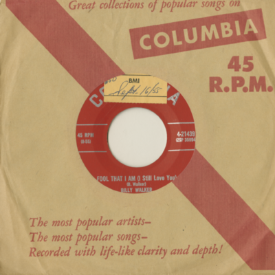 Fool That I Am I Still Love You / The Record